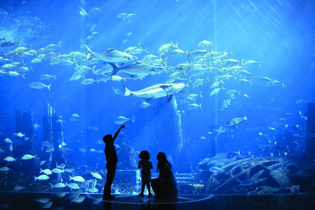 Largest marine aquarium natural seawater (sea water, NSW)